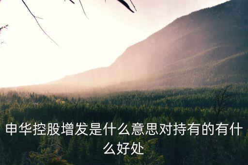 申華控股是什么板塊，申華控股怎么樣