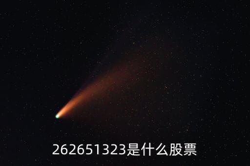 208393股票是什么，262651323是什么股票