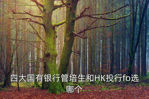 四大去投行有什么優(yōu)勢(shì)，女 研究生畢業(yè)想進(jìn)投行 考研想考北大 清華 復(fù)旦或者香港大學(xué) 請(qǐng)問(wèn)這四