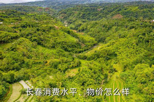  長春消費(fèi)水平、物價(jià)怎么樣