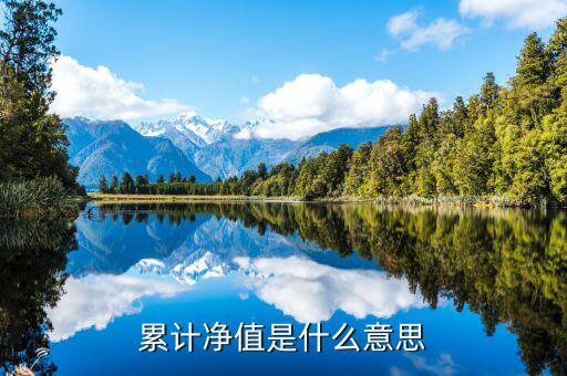 累計(jì)凈值是什么意思，累計(jì)凈值是什么意思