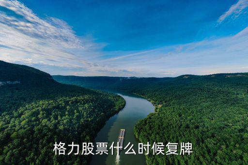 格力電器停牌收購什么資產，二手格力中央空調三匹可回收什么錢