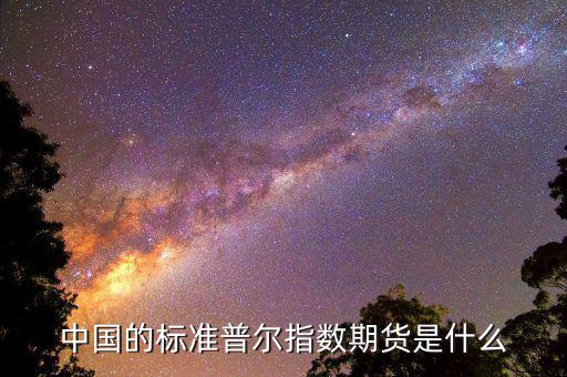 什么是國內(nèi)期貨指數(shù)，中國的標(biāo)準(zhǔn)普爾指數(shù)期貨是什么