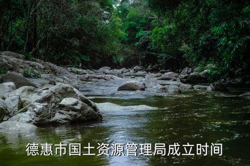 什么時候成立國土部門，德惠市國土資源管理局成立時間