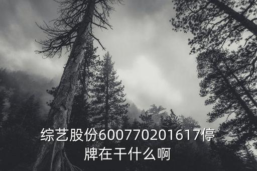 綜藝股份旗下有什么彩票業(yè)務(wù)，擬訂單包括啥類目直充彩票都是虛擬業(yè)務(wù)
