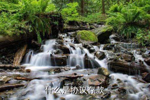 什么是銀行協(xié)議存款，什么是銀行協(xié)定存款