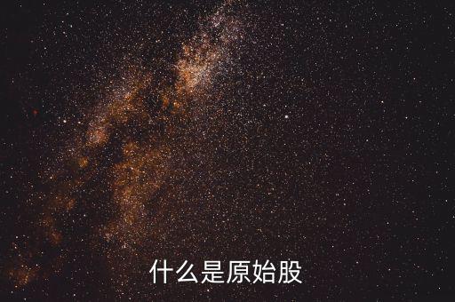 公司原始股是什么，什么是原始股怎樣買(mǎi)原始股