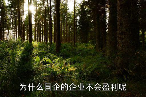為什么國企只虧不盈利，除了政策性和歷史性原因外大中型國企虧損的主要原因有哪些