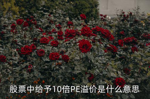 股票10倍市盈率什么意思，買10倍市盈率上下的大盤股什么意思