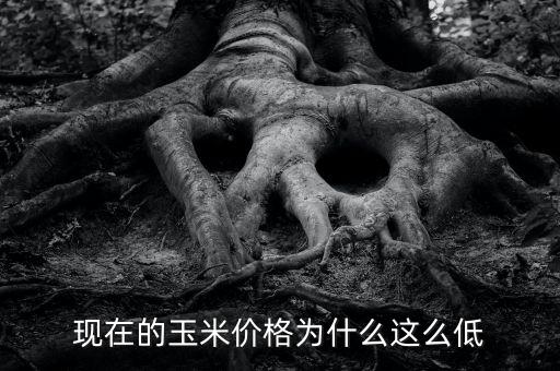 現(xiàn)在為什么糧食價(jià)格低，為什么糧食越來越便宜