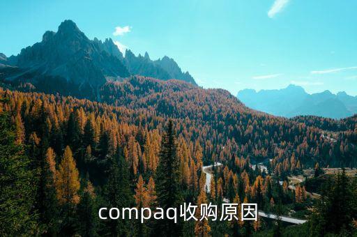 泰一指尚為什么被收購(gòu)，compaq收購(gòu)原因