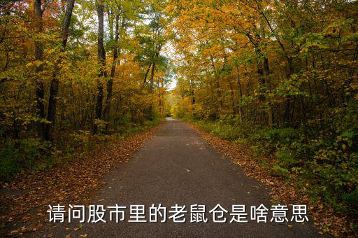 股市老鼠倉(cāng)什么意思，股票 老鼠倉(cāng)是什么意思
