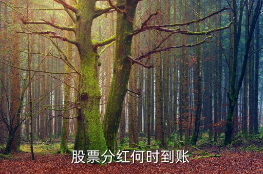 分紅什么時候到賬，分紅的金額什么時候會到賬戶