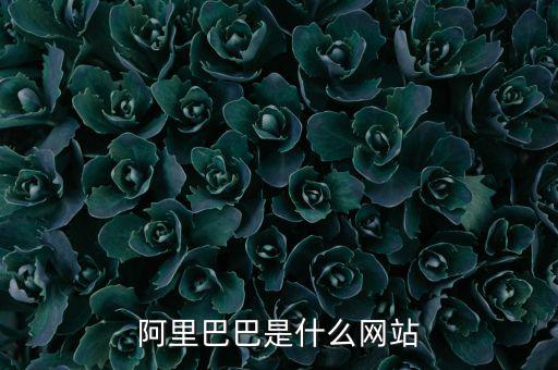 阿里巴巴是什么網(wǎng)站，阿里巴巴是什么網(wǎng)站