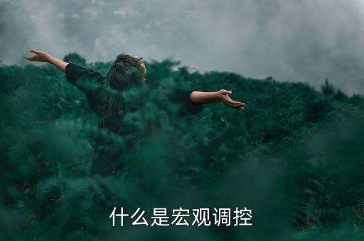 宏觀調(diào)控的定義是什么，怎么理解宏觀調(diào)控