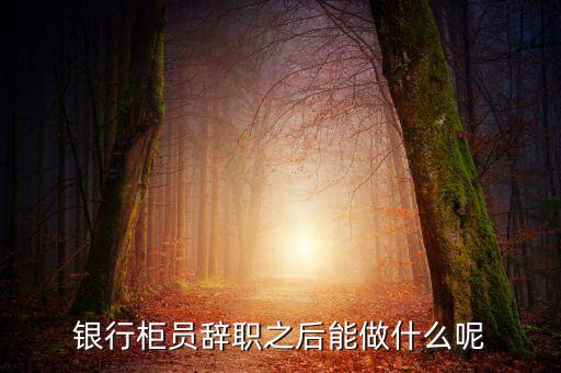銀行辭職后做什么，銀行柜員辭職之后能做什么呢