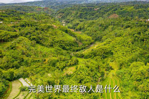 什么是對手盤，完美世界最終敵人是什么