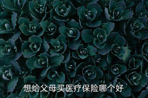 給父母買什么醫(yī)療保險好，想給父母買醫(yī)療保險哪個好