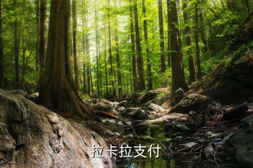 拉卡拉便利支付是什么，什么是銀聯(lián)拉卡啦支付