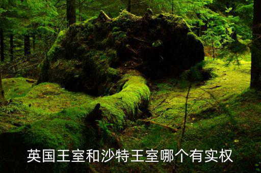 沙特王子有什么特權(quán)，有錢任性沙特王子為什么那么有錢