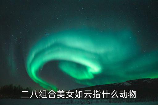 二八組合是什么意思，二八是什么意思