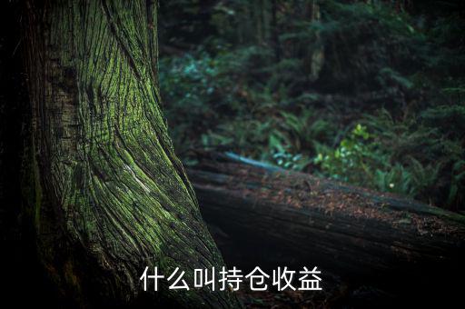 理財(cái)里的持倉收益是什么意思，基金 持倉收益7579 是什么意思啊 本人是新手