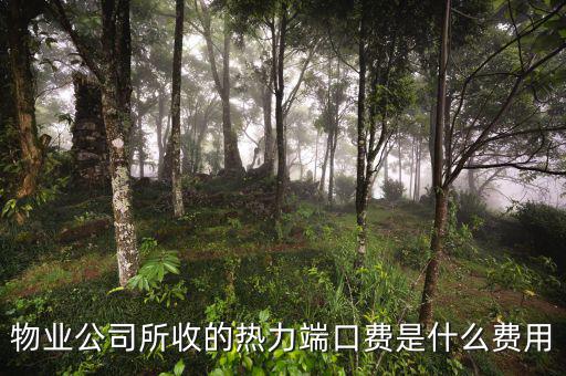 什么是端口費(fèi)，現(xiàn)在電信包月網(wǎng)線得多少錢還有那端口費(fèi)是什么意思