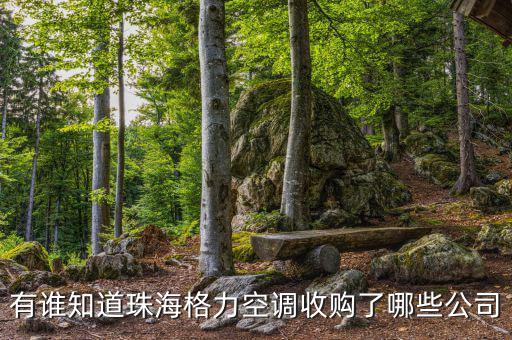 格力收購(gòu)什么，有誰(shuí)知道珠海格力空調(diào)收購(gòu)了哪些公司