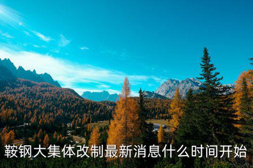 鞍鋼什么時間改制，鞍鋼大集體改制最新消息什么時間開始