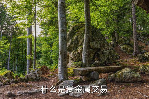 貴金屬交易是什么，什么是貴金屬交易