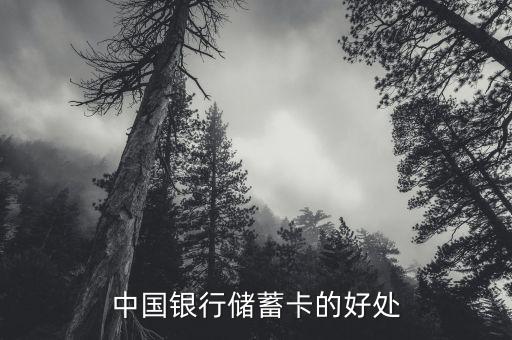 中國(guó)銀行存蓄卡有什么好處，中國(guó)銀行儲(chǔ)蓄卡的好處