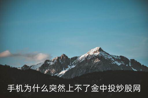 為什么不能用金航線炒股，中航證券的金航線手機版為什么不能申購新股