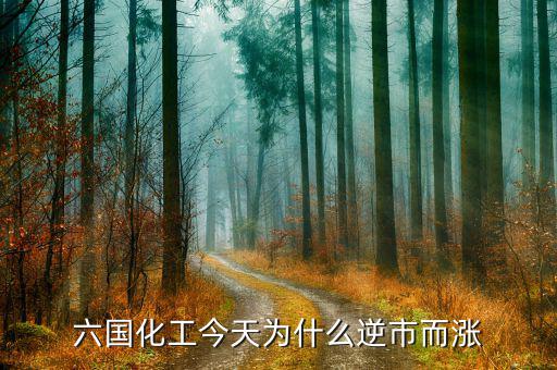 六國化工有什么概念，六國化工和六國化肥是一個意思嗎