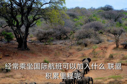 星空聯(lián)盟積分怎么算,南航、東航可通過明珠卡共享積分等