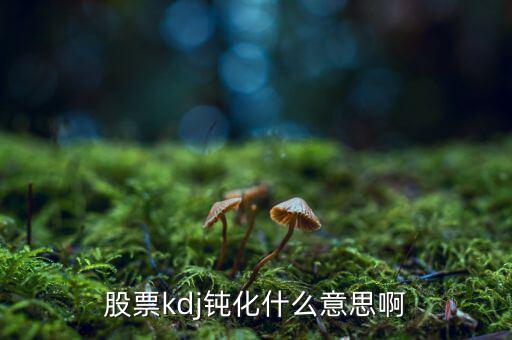 什么是kd高檔鈍化，KDJ鈍化是什么意思