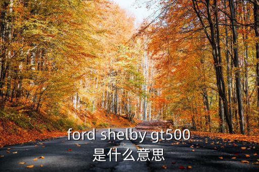 東盟油500是什么，ford shelby gt500是什么意思