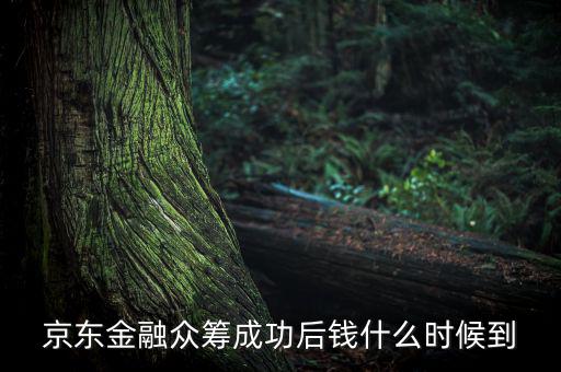 京東金融活動(dòng)什么時(shí)候結(jié)束，金條的活動(dòng)什么時(shí)候結(jié)束啊