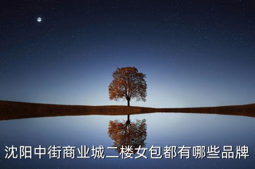 中街商業(yè)城都有什么品牌，沈陽中街商業(yè)城二樓女包都有哪些品牌