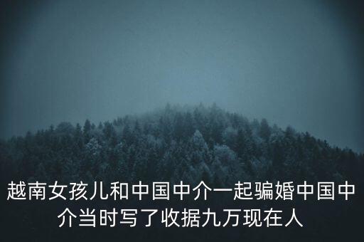 越南女孩兒和中國(guó)中介一起騙婚中國(guó)中介當(dāng)時(shí)寫了收據(jù)九萬現(xiàn)在人