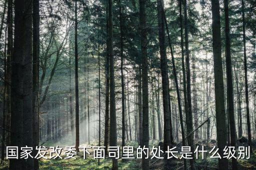央企處長是什么級別，央企比如移動 電信 聯(lián)通 中石油石化 這些企業(yè)縣的老總是什么級別