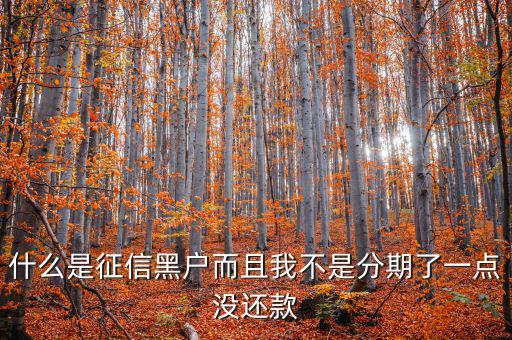 什么是征信黑戶(hù)而且我不是分期了一點(diǎn)沒(méi)還款