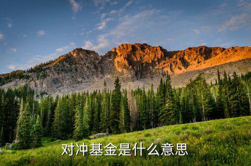 什么是對沖基金，什么是對沖基金對沖基金指的是什么
