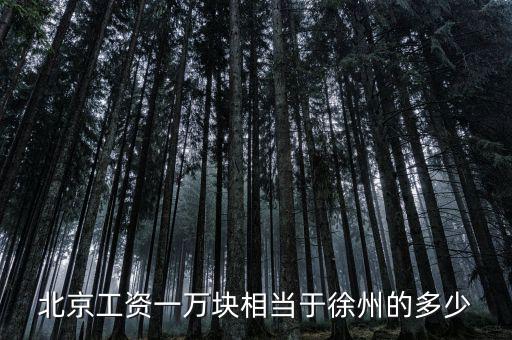 北京月薪1萬什么概念，在北京月薪1萬算高嗎