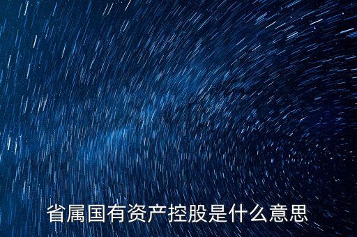 國(guó)資控股什么意思，國(guó)有資金投資占控股是什么意思