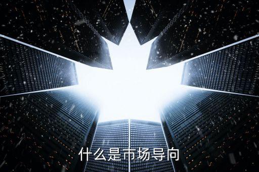 什么叫市場導(dǎo)向機制，什么是市場導(dǎo)向