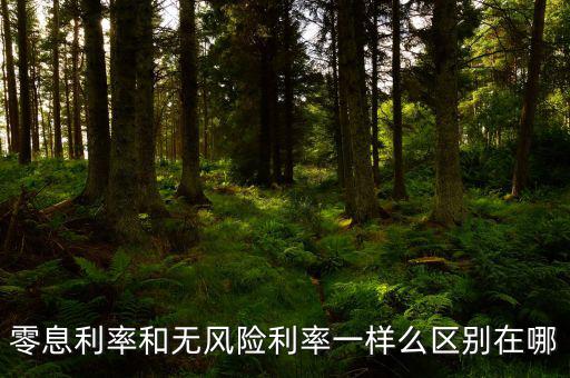 即期利率是什么，定期的利息和國(guó)期的利息是什么