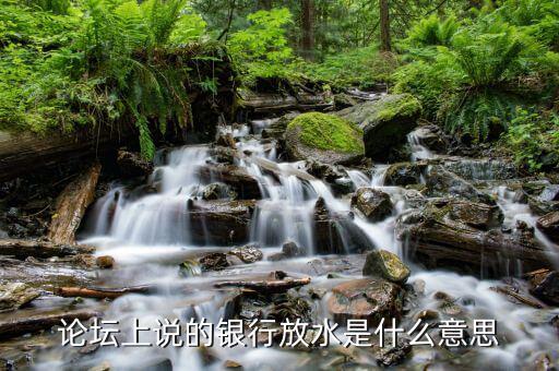 銀行放水是什么意思，央行放水是什么意思