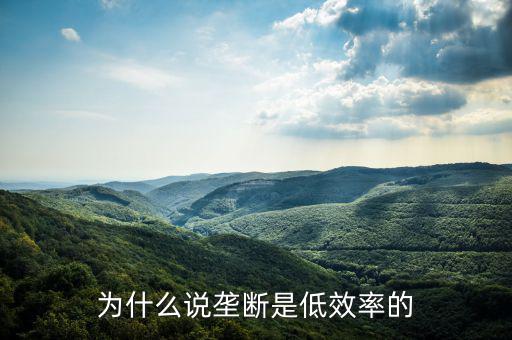 壟斷的無(wú)效率是什么，為什么說(shuō)壟斷會(huì)導(dǎo)致低效率