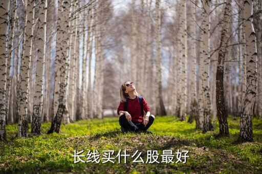 長(zhǎng)線買(mǎi)什么股最好
