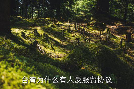 臺(tái)灣為什么反對(duì)服貿(mào)協(xié)定，臺(tái)灣為什么反對(duì)服貿(mào)協(xié)定